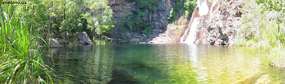 Litchfield NP: Tjaynera Falls, NT