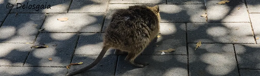 Australia 2025 Perth