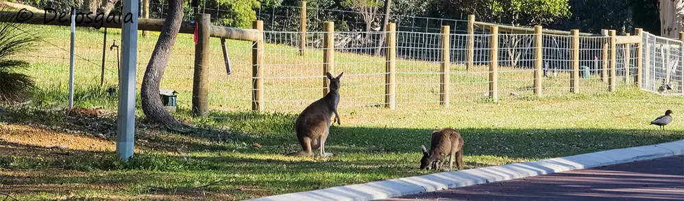 Australia 2025 Perth